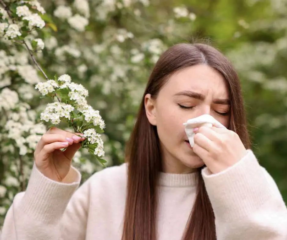 hayfever in pregnancy & breastfeeding