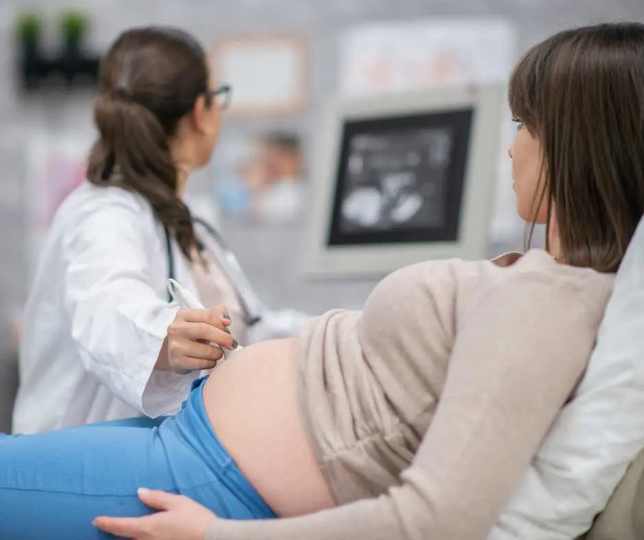 scans in pregnancy