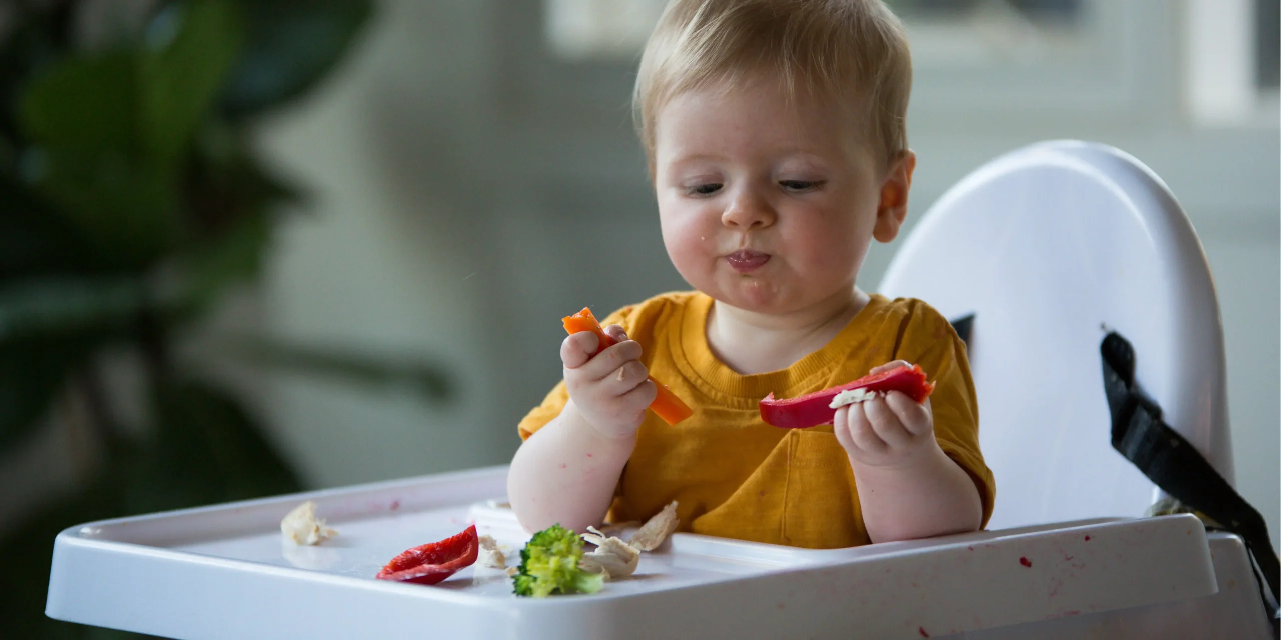 Easy Weaning 101